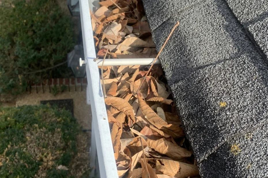 Gutter Cleaning Volente TX